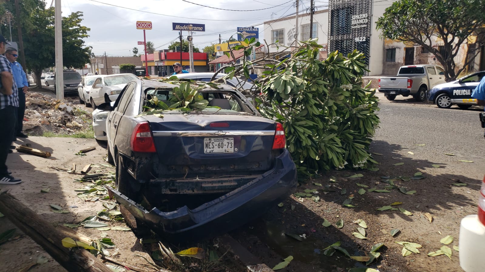 Se estrella contra árbol, poste y varios vehículos