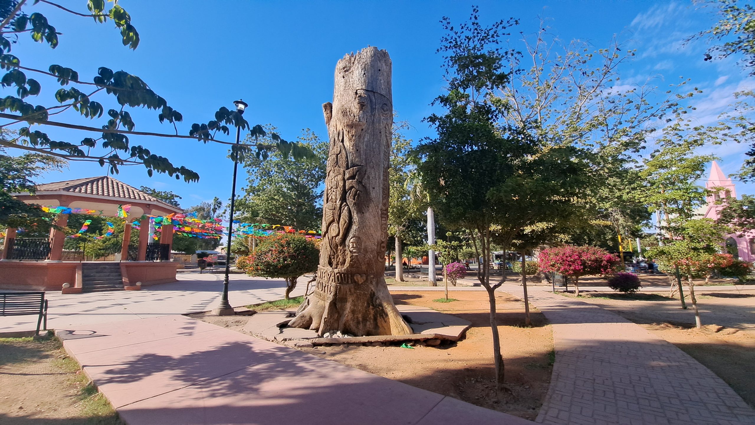 Podrían remover a la avenida Miguel Alemán escultura en tronco de la plaza en Cócorit