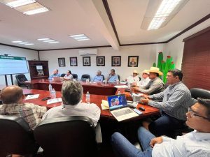Buscan impulsar la ganadería de Sonora