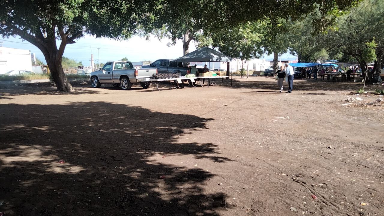 Baja afluencia en el tianguis de la México