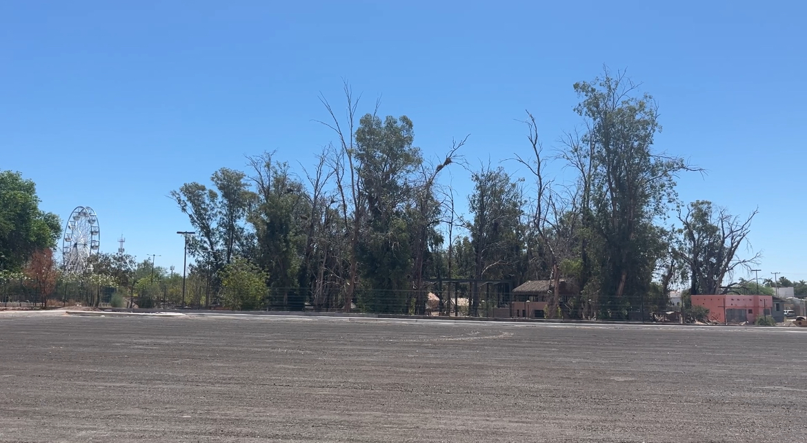 Sí habrá reforestación en estacionamiento de Laguna Gym