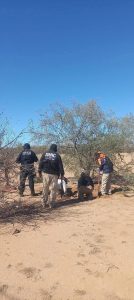 Localizan cinco fos4s clandestin4s con osam3nt4s en el Valle de Guaymas
