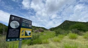Solicita organización mayor conciencia para proteger el Cerro Johnson de daños ambientales