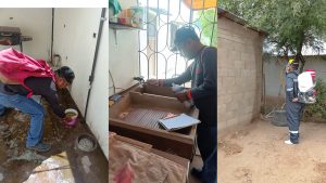 Refuerza Salud Sonora acciones contra el dengue en todo el estado para beneficio de la población