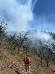 Incansable esfuerzo de más de 100 combatientes forestales en la atención al incendio forestal en Tarachi, Arivechi