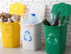 Impulsan cultura del reciclaje desde los hogares en Sonora