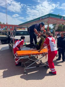 At4que de abejas moviliza a cuerpos de emergencia en el Sahuaral