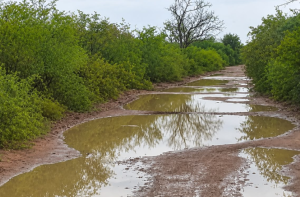 Sinahuiza, entre el lodo y el abandono