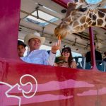 Centro Ecológico de Sonora registra 73 nacimientos en 2026