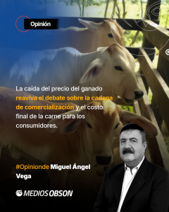 ITINERARIO