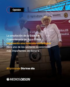 DÍA TRAS DÍA