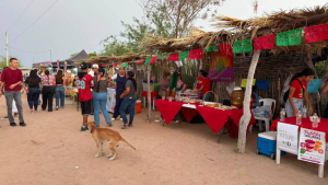 Sirebampo presume su tesoro: la pitaya reúne tradición, sabor e identidad