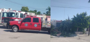Árbol cae sobre vivienda y deja atrapados a dos adultos mayores en Navojoa