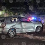 Se estrell4 contra una palmera en Urbi Villa del Rey; dos ocupantes salen ilesos