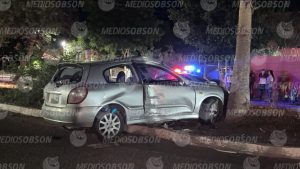 Se estrell4 contra una palmera en Urbi Villa del Rey; dos ocupantes salen ilesos