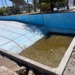 ¿Abandonaron la alberca de la colonia Constitución?