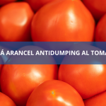 EU mantendrá arancel antidumping al tomate mexicano