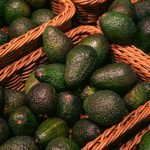 Reactivan la exportación de aguacate mexicano a Estados Unidos