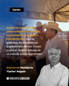 POLÍTICA A DIARIO