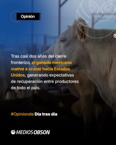DÍA TRAS DÍA