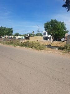 Últimas lluvias ocasionan la c4ída de varias ramas de árboles en bulevard Villa Bonita