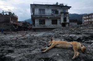 Tr4gedia en Nepal deja 584 muert*s y casi 2 mil desap4recidos