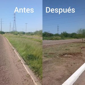 Reforestan y rescatan camellones al nororiente de Ciudad Obregón