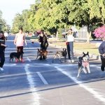 ¡Corre y ayuda! Invitan a Carrera Croquetón Volkswagen para apoyar a perros y gatos