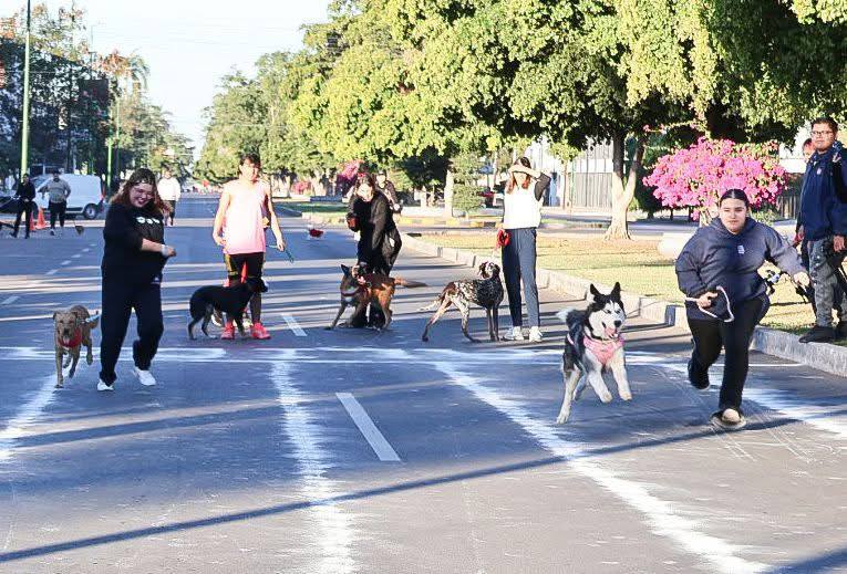 ¡Corre y ayuda! Invitan a Carrera Croquetón Volkswagen para apoyar a perros y gatos