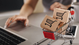 Menos del 3% de los comercios de Hermosillo vende en línea: Canaco