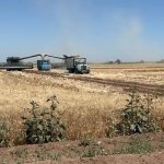 Positivo aumento en recursos para el campo