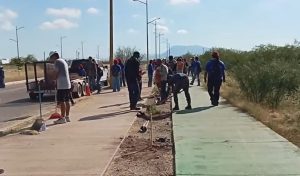 Impulsan Corredor Verde; plantan 65 árboles de tepehuaje