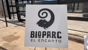 Bioparc El Encanto abrirá en noviembre con más de 700 animales en Mazatlán