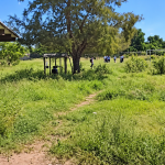 Casos de dengue preocupan en secundaria de Pueblo Yaqui