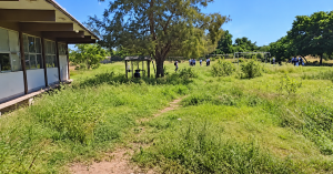 Casos de dengue preocupan en secundaria de Pueblo Yaqui
