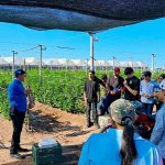 Alumnos de horticultura fortalecen su aprendizaje
