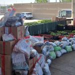 Incautan 725 kilos de meta-nfetam1na ocultos en tomates verdes en San Diego, California