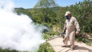 Priorizan atención a municipios con mayor número de casos activos de dengue