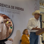 Sonora aumentará a 3 mil cab3zas diarias en exportación de ganado
