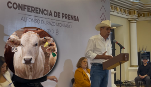 Sonora aumentará a 3 mil cab3zas diarias en exportación de ganado