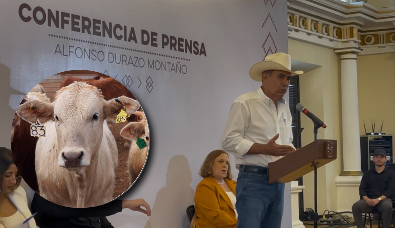 Sonora aumentará a 3 mil cab3zas diarias en exportación de ganado