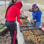Impulsan desarrollo acuícola sustentable